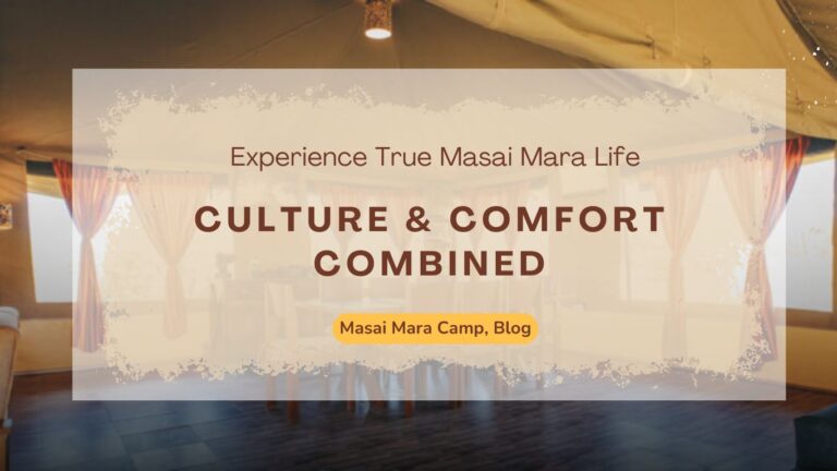 -experience-true-masai-mara-life