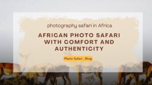 african-photo-safari-with-comfort-and-authenticity