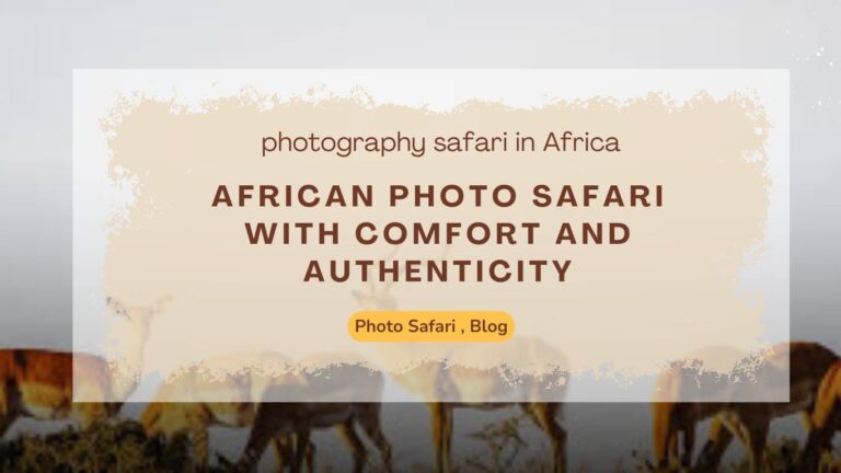 african-photo-safari-with-comfort-and-authenticity