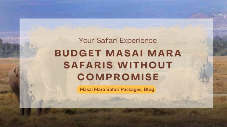 budget-friendly-masai-mara-safari-without-compromising-experience