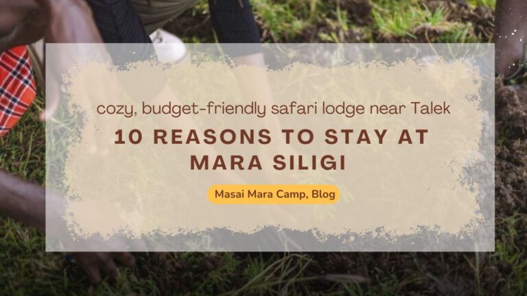 the-masai-mara-camp-10-reasons-to-stay-at-mara-siligi