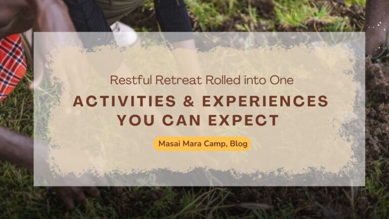 activities-experiences-you-can-expect-in-masai-mara-camp