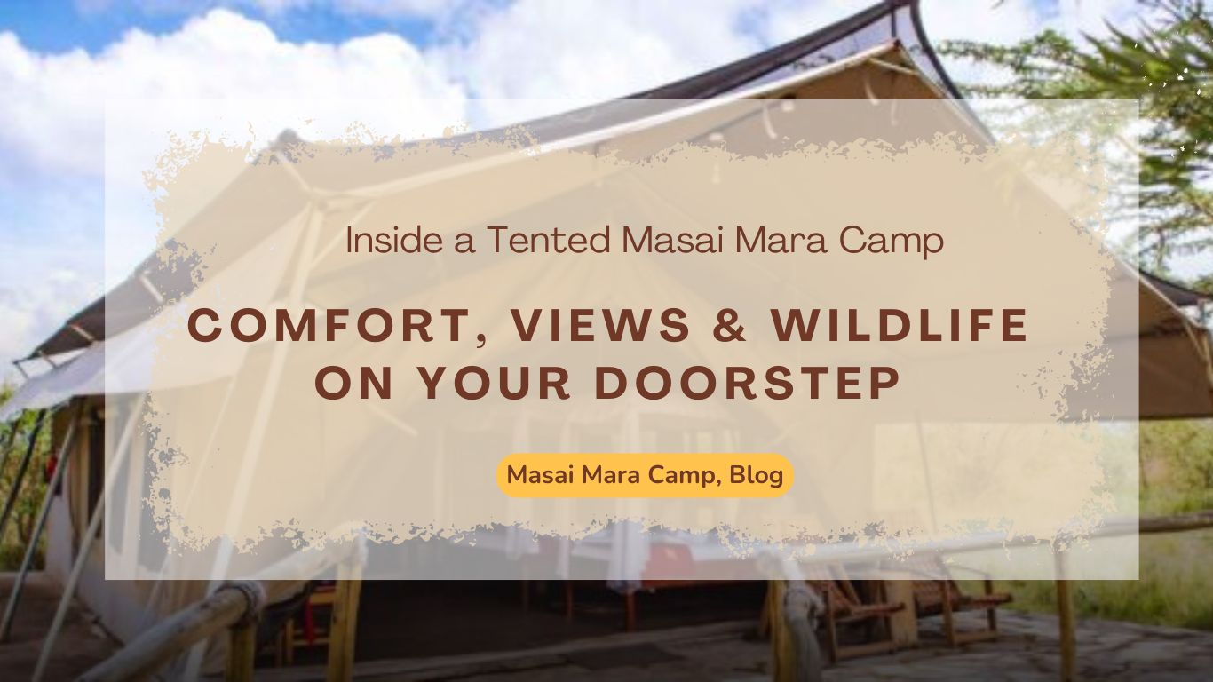 inside-a-tented-masai-mara-camp-comfort-views-wildlife-on-your-doorstep
