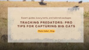 tracking-predators-pro-tips-for-capturing-big-cats-on-a-masai-mara-photography-tour