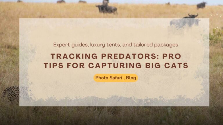 tracking-predators-pro-tips-for-capturing-big-cats-on-a-masai-mara-photography-tour