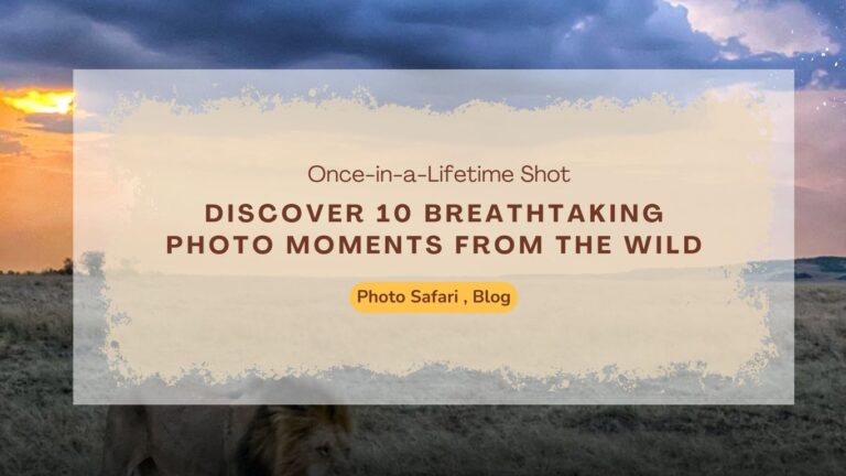 10-photos-that-will-make-you-want-to-book-a-masai-mara-photography-tour