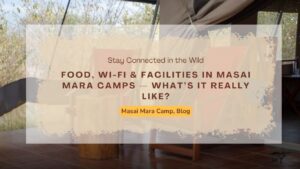 food-wi-fi-&-facilities-in-masai-mara-camps-what’s-it-really-like