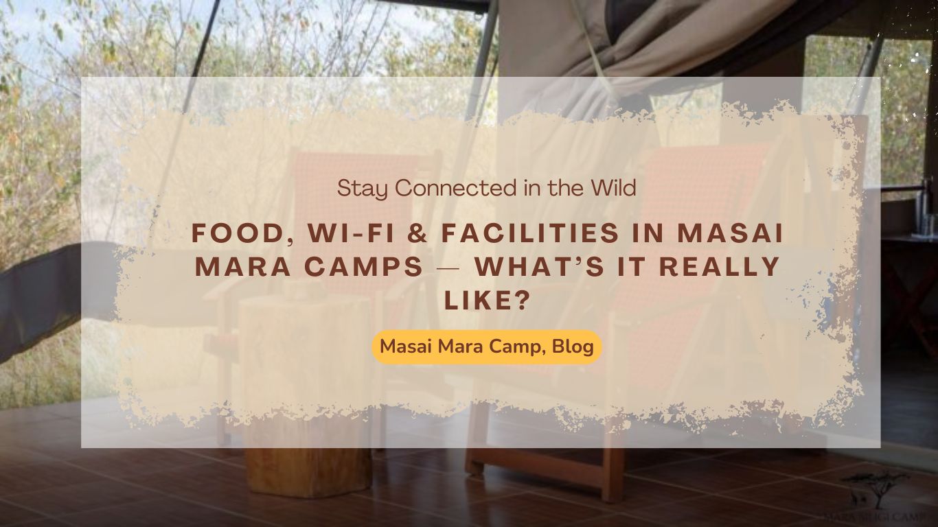 food-wi-fi-&-facilities-in-masai-mara-camps-what’s-it-really-like