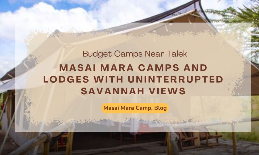 masai-mara-camps-and-lodges-with-uninterrupted-savannah-views