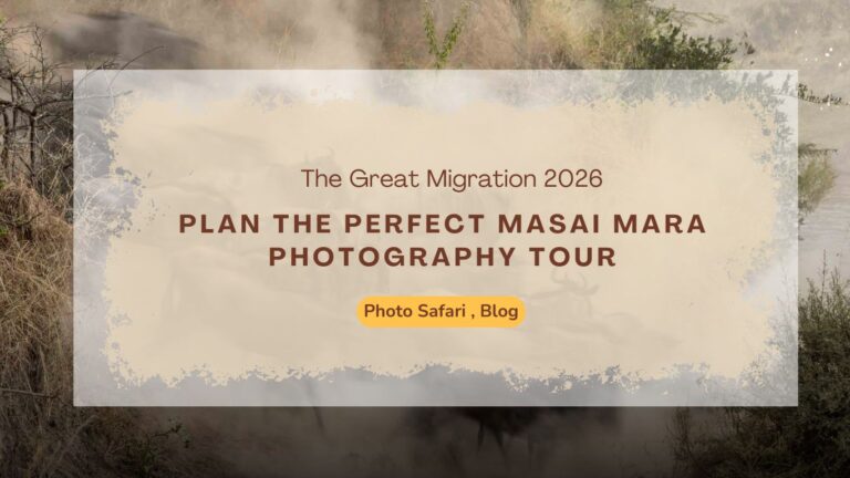 the-great-migration-2026-plan-the-perfect-masai-mara-photography-tour-experience