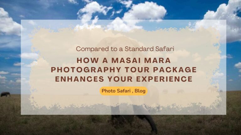 how-a-masai-mara-photography-tour-package-enhances-your-standard-safari-experience