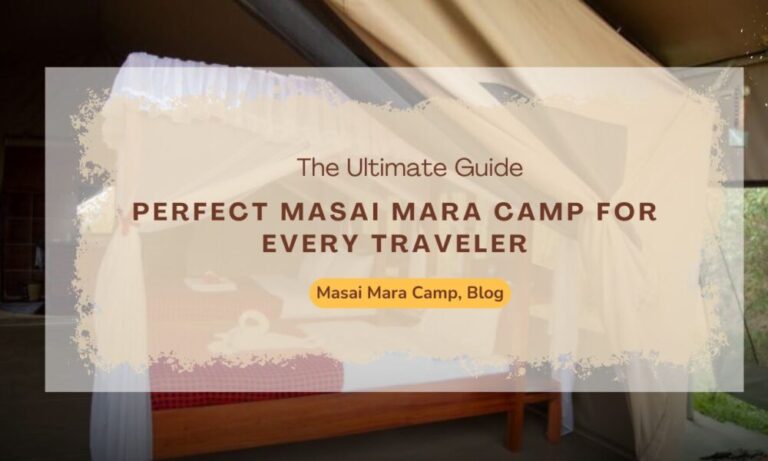 /the-ultimate-guide-to-choosing-the-perfect-masai-mara-camp-for-every-traveler/