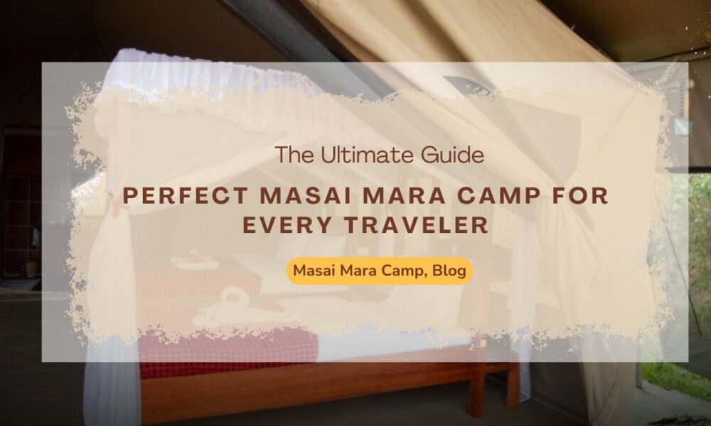 /the-ultimate-guide-to-choosing-the-perfect-masai-mara-camp-for-every-traveler/