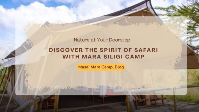 discover-the-spirit-of-safari-with-mara-siligi-camp