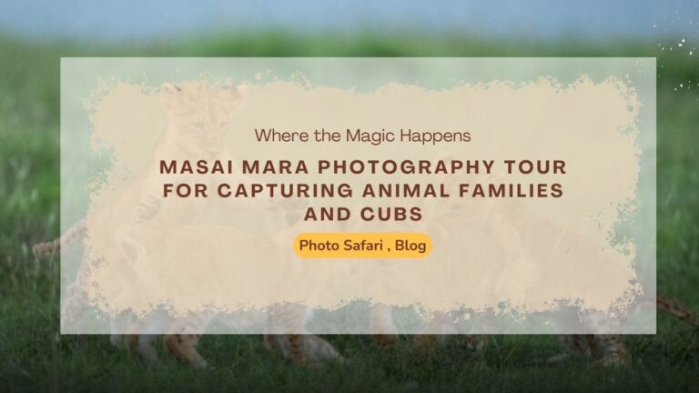 masai-mara-photography-tour-for-capturing-animal-families-and-cubs