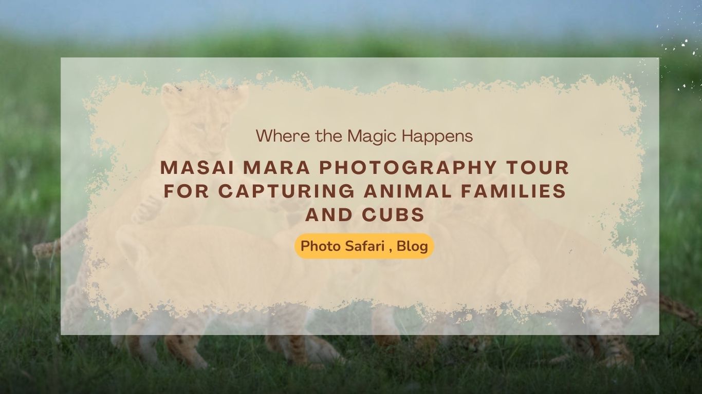 masai-mara-photography-tour-for-capturing-animal-families-and-cubs