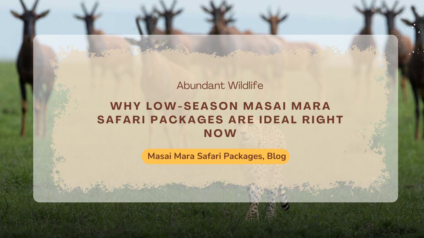 Masai Mara Safari Packages
