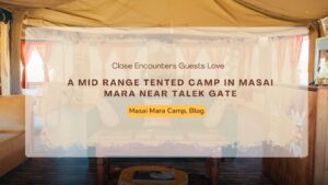 Best Masai Mara Camp in 2026