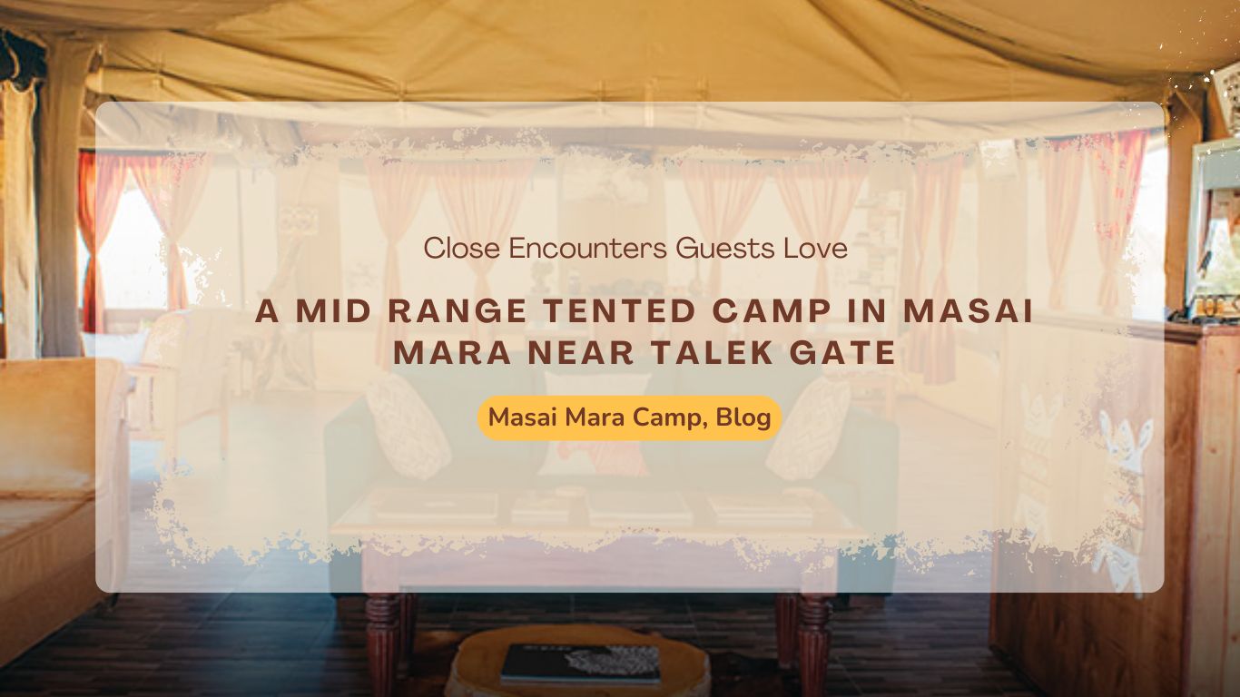 Best Masai Mara Camp in 2026