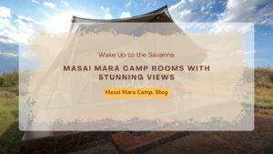 masai-mara-camp-rooms-with-stunning-views