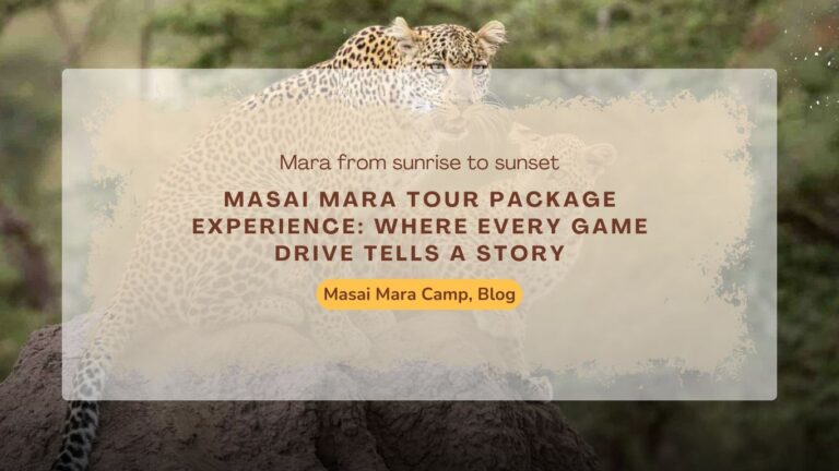 masai-mara-tour-package-experience-where-every-game-drive-tells-a-story