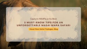 5-must-know-tips-for-an-unforgettable-masai-mara-safari