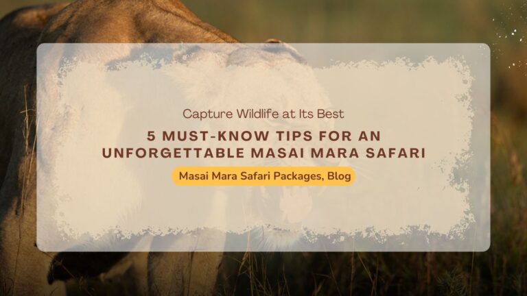 5-must-know-tips-for-an-unforgettable-masai-mara-safari