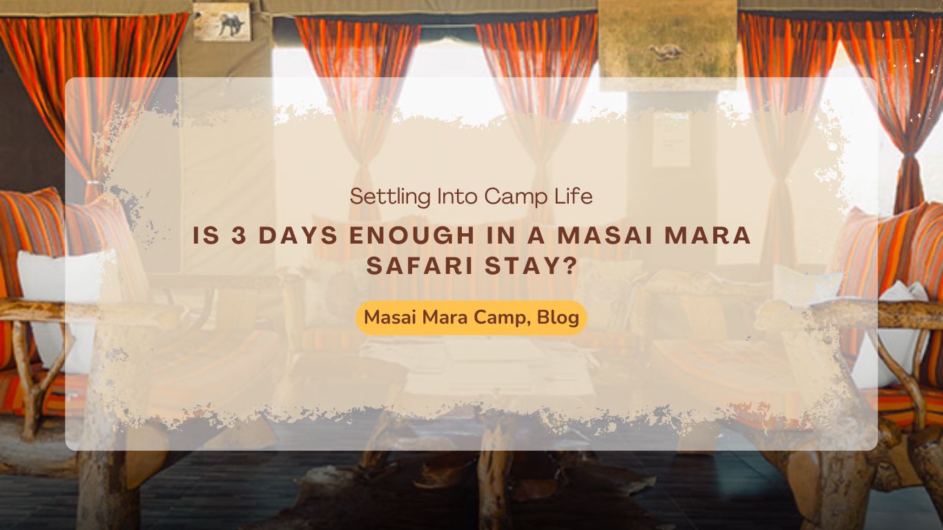 masai mara safari accommodations