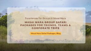 masai-mara-group-safari-packages-for-friends-teams-&-corporate-trips