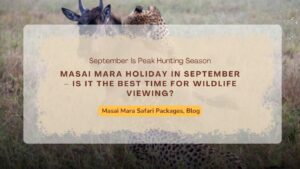 masai-mara-holiday-in-september