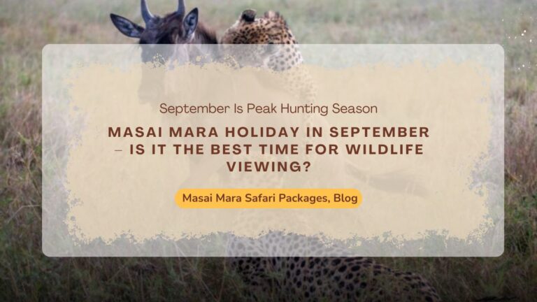 masai-mara-holiday-in-september