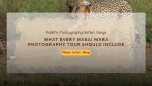 what-every-masai-mara-photography-tour-should-include