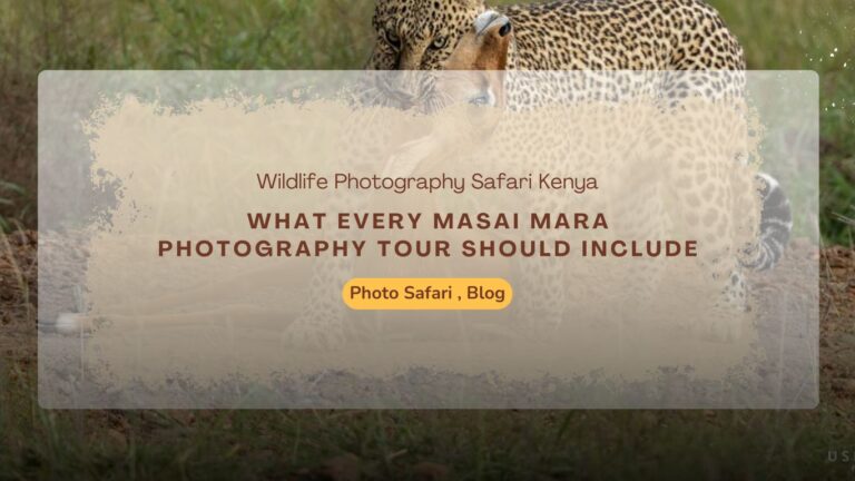 what-every-masai-mara-photography-tour-should-include