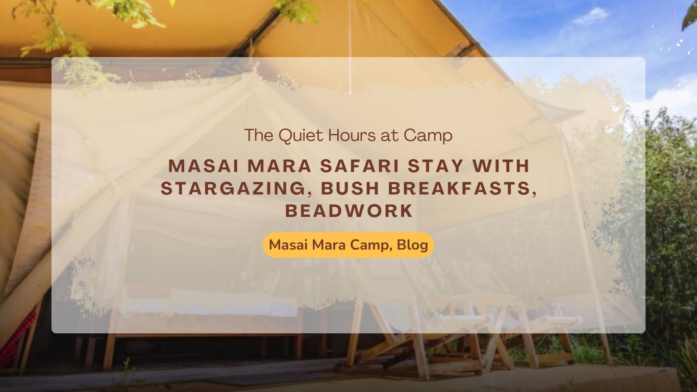 masai-mara-safari-stay-with-stargazing-bush-breakfasts-beadwork