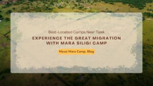 masai-mara-camp