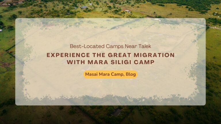 masai-mara-camp