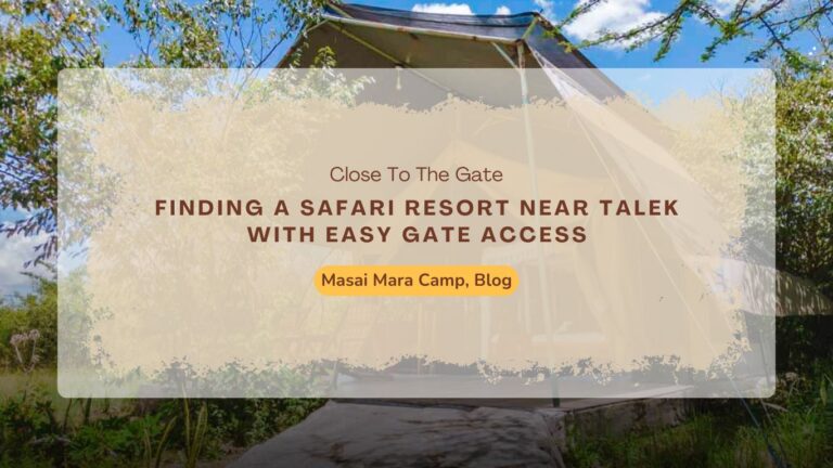 Finding a Safari Resort Near Talek With Easy Gate Access