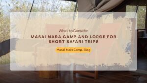 masai-mara-camp-and-lodge-for-short-safari