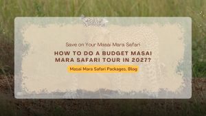 budget-masai-mara-safari-tour-2027