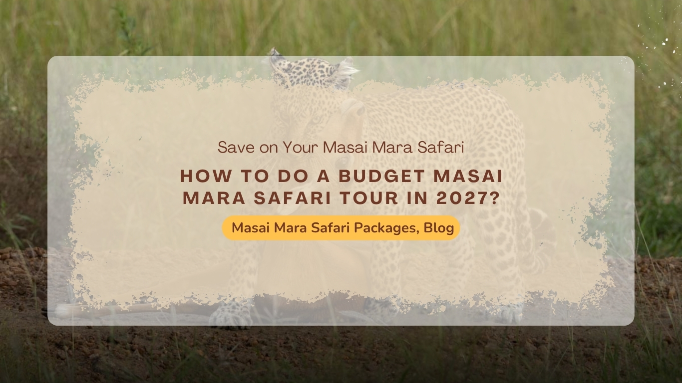budget-masai-mara-safari-tour-2027