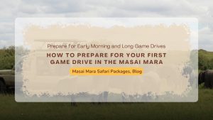how-to-prepare-first-game-drive-masai-mara