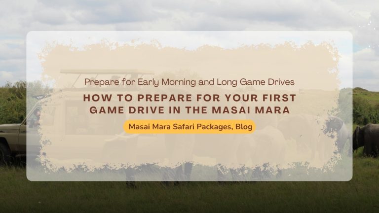 how-to-prepare-first-game-drive-masai-mara