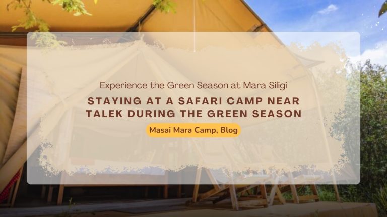 safari-camp-near-talek-during-green-season