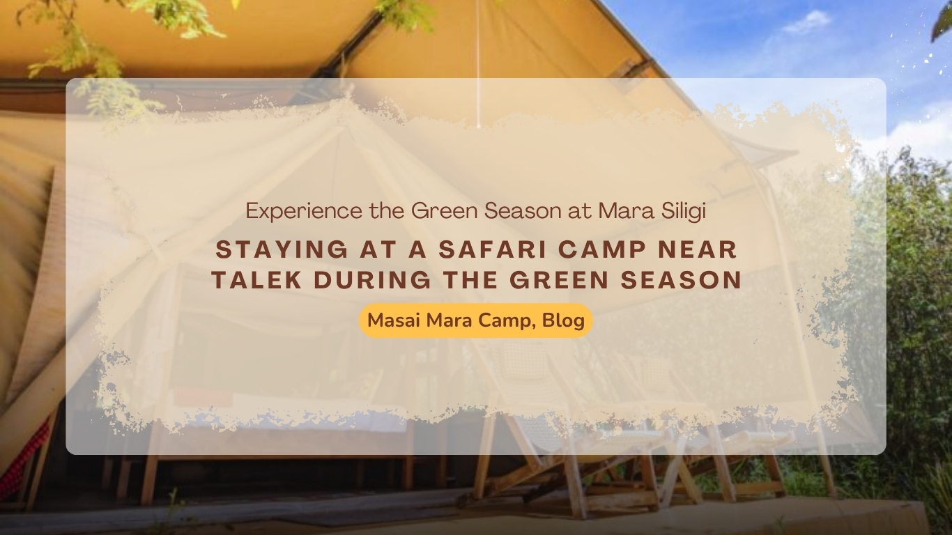 safari-camp-near-talek-during-green-season